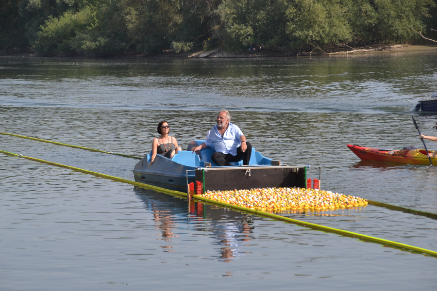 kleine Unterstützung beim Treiben der Enten